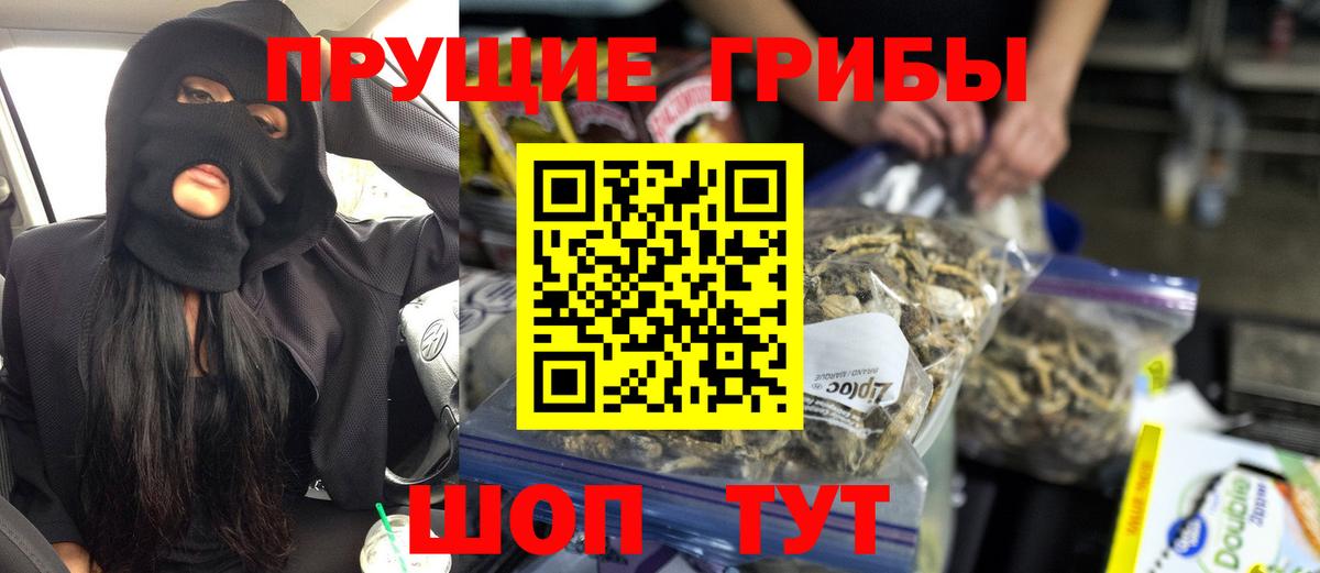 Чистополь  Псилоцибиновые грибы Cubensis  Вход с VPN  Галлюциногенные грибы Cubensis 