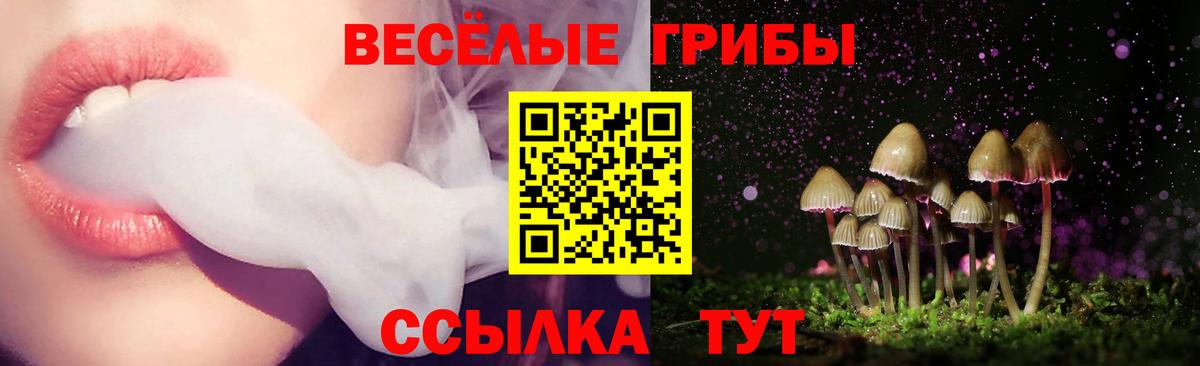 Галлюциногенные грибы мицелий Чистополь